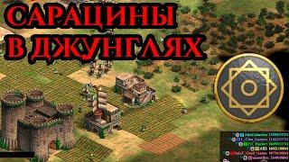 САРАЦИНЫ В ДЖУНГЛЯХ | Сражаемся командой в Age of Empires 2