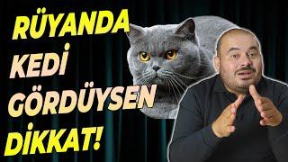 Rüyada kedi gördüysen buna dikkat, rüya tabirleri, islami rüya tabiri