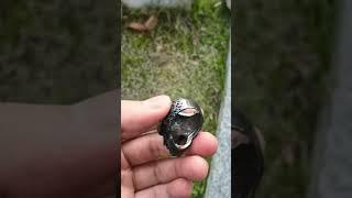 Wailing Skull Ring by ZMY Home #skulljewelry #skullring #skullart #youtubeshorts  #ring #handmade