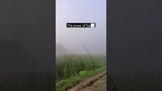 The power of fog ️ | Aditya Gautam | #villagelife #trending #adityagautam