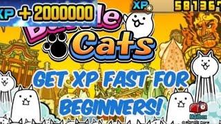 battle cats how to grind xp