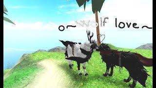 •Wolf love• story •|Roblox Wolves life beta|•