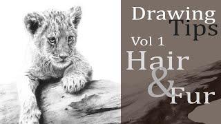 Drawing Tips - Vol 1 Hair & Fur