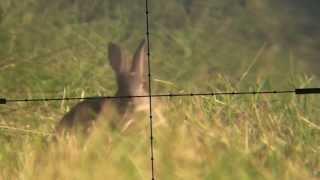 Devon AirGunner June Air Rifle Rabbit Hunt Weihrauch HW100 Scopecam