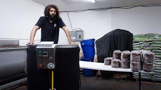 Sterilizing Our Hardwood Substrate Production Blocks for Mushroom Cultivation | Southwest Mushrooms