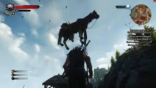 Roach are you okay?