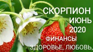 СКОРПИОН. Таро-прогноз на ИЮНЬ 2020г. Здоровье, любовь, деньги.