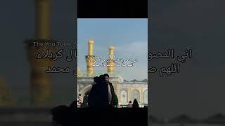 ماشاء الله عليج #الامام_علي #الامام_الحسين #لايك #دويتو#ترند #اللهم_صل_على_محمد_وآل_محمد_وعجل_فرجهم