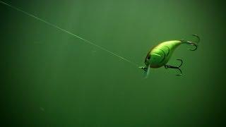Al Lindner's Go-To Baits for Spring Largemouth Bass