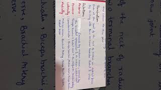 Brachial Artery || One page Anatomy Notes #bamsfirstyear #mbbs #bumsfirstyear #bams #onepagenotes