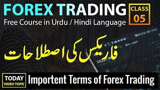 Most Important Terms in Forex Trading