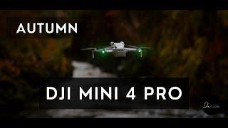 6 TIPS for AUTUMN DRONE CINEMATOGRAPHY // with drones such as DJI Mini 4 Pro, Mini 3 Pro