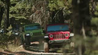 Trail Rated Jeeps!