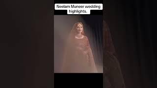 Neelum muneer Barat pics #lollywood #entertainment #youtubeshorts #shorts