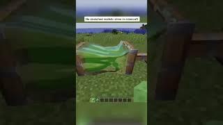 Minecraft bebra webm#shorts