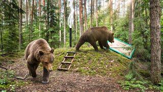 The Day Bears Almost Killed Me - My Underground House Saved My life!