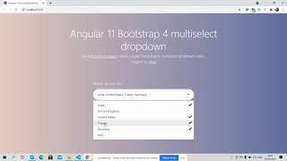 Angular 11 Multiselect Dropdown