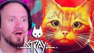 Я СТАЛ КОТОМ - STRAY  КОШАЧИЙ КИБЕРПАНК 2022 ИГРА ПРО КОТИКА