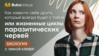 Жизненные циклы паразитических червей | БИОЛОГИЯ ЕГЭ | Лина Клевер