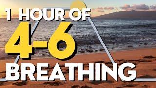 4-6 Breathing for Stress: Inhale 4, Exhale 6