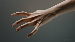 Hand Test II (4K, 60fps)