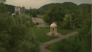 Орлёнок с высоты птичьего полёта.