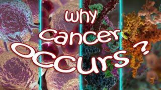 What Goes Wrong in Cancer? All you need to know - REDMEDBD