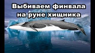 РР3. Выбиваем финвала на руне хищника или как быстро спустить игровые. Что выпадает на руне хищника?