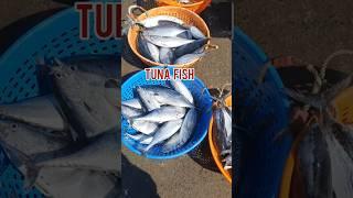 Tuna fish #fishing #seafood #seafoodlover