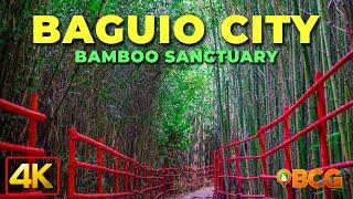 BAGUIO BAMBOO SANCTUARY Re-visit | 4K Drive and Walk to and around the Baguio Bamboo Sanctuary