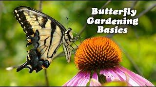 Create a Butterfly Garden from Scratch