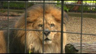 Education Counts Michiana - Potawatomi Zoo: Junior Naturalists Summer Camp