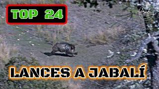 TOP 24 LANCES A JABALI 2021 2022 | WILDBOAR TOP 24 SETS  2021 2022