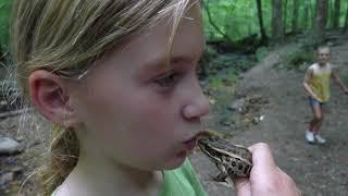BRMC Summer Naturalist Camp - DAY 1 - Amphibians
