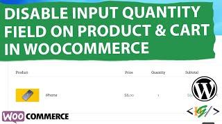 How to Disable Input Quantity + / - Field Using Custom Code in WooCommerce Product and Cart Page