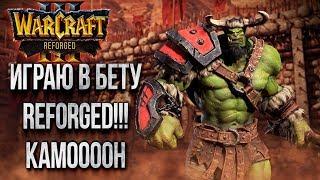 БЕТА REFORGED ONLINE!!!!  Warcraft 3 The Frozen Throne