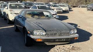 This Rare v12 Jaguar XJS has SUPER LOW MILES at IAA! Will it Run?