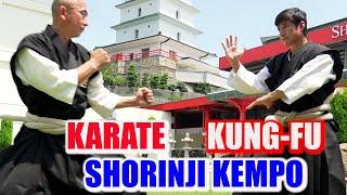 Karate Master meets Kung-fu and Shorinji Kempo! - Detailing amazing skills