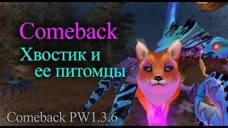 Бесплатные петы в Perfect world, которые не хуже бао/феникса. Все о петах дру на Сomeback PW 1.3.6