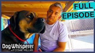 Owners Losing Hope as Dog's Behavior Turns Deadly | FULL EPISODE | Dog Whisperer with Cesar Millan