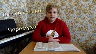 Обзор (анализ) стихотворения Сергея Есенина "Черёмуха". ГДЗ литература Курдюмова 5 класс