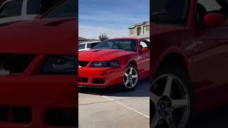 Competition Orange 2004 mustang cobra SVT terminator