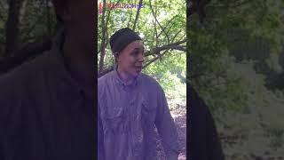 ДЕД ИВАН  -  ДЕВЧУЛИ