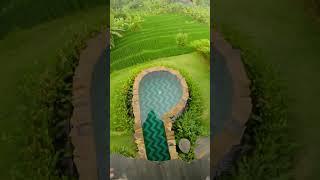 CRAZY POV pool jump!! #Bali #shorts #swimming