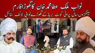 Nawab Malik Atta Muhammad Khan's Horse Farm | Exclusive Interview | 100 years old horse breed