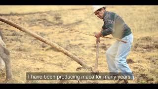 Meet our maca farmer – Florencio