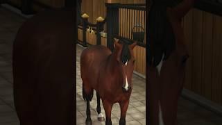 #sso #starstableonline #starstable #старстейблонлайн #edit #horse #shortsvideo #старстейбл #short