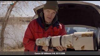 Canon: Bird Photography with Arthur Morris: Arthur's Gear Bag