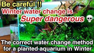 Correct water change method for your planted aquarium according to seasons (winter edition) ADA