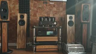 Line Magnetic LM-88iA, AudioSolutions Rhapsody 60, Cocktail Audio x45